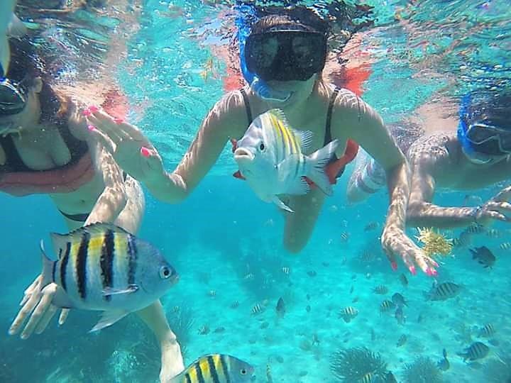 Coralito Malecon Luxury Studio Isla Mujeres Εξωτερικό φωτογραφία